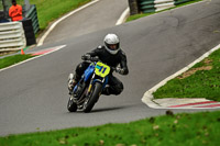 cadwell-no-limits-trackday;cadwell-park;cadwell-park-photographs;cadwell-trackday-photographs;enduro-digital-images;event-digital-images;eventdigitalimages;no-limits-trackdays;peter-wileman-photography;racing-digital-images;trackday-digital-images;trackday-photos
